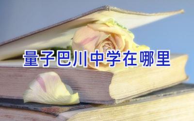 量子巴川中学在哪里插图