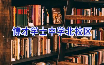 博才学士中学北校区插图