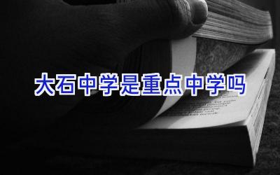 大石中学是重点中学吗插图