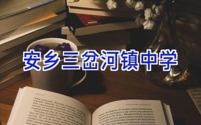 安乡三岔河镇中学插图