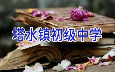 塔水镇初级中学插图