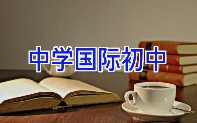 中学国际初中插图