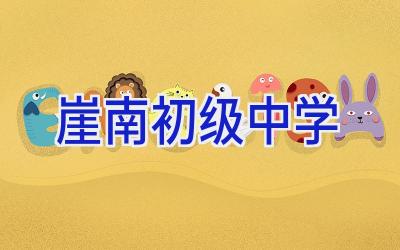 崖南初级中学插图
