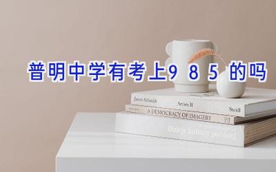 普明中学有考上985的吗插图