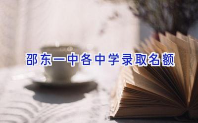 邵东一中各中学录取名额插图