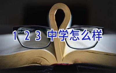123中学怎么样插图