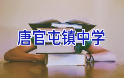 唐官屯镇中学插图