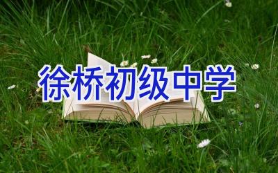 徐桥初级中学插图