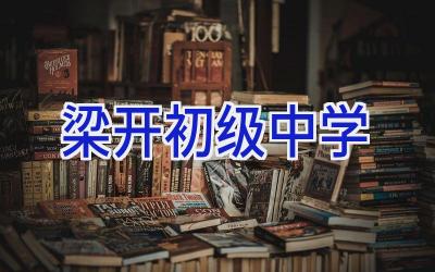 梁开初级中学插图