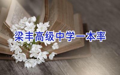 梁丰高级中学一本率插图