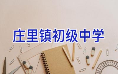 庄里镇初级中学插图