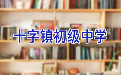 十字镇初级中学插图