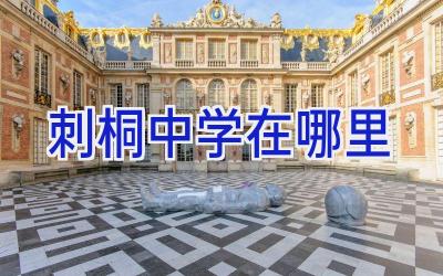 刺桐中学在哪里插图