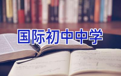 国际初中中学插图