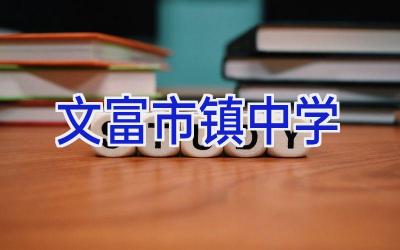 文富市镇中学插图