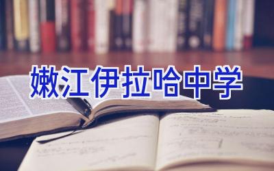 嫩江伊拉哈中学插图