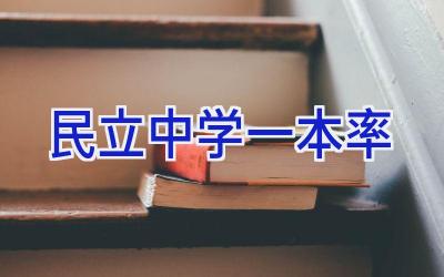 民立中学一本率