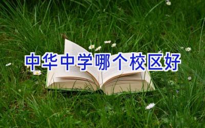 中华中学哪个校区好