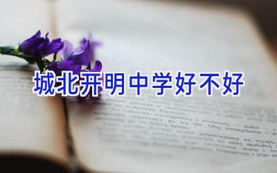 城北开明中学好不好插图