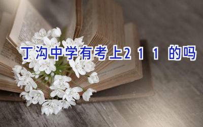 丁沟中学有考上211的吗插图