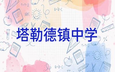 塔勒德镇中学插图