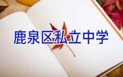 鹿泉区私立中学插图