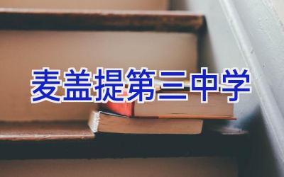 麦盖提第三中学插图