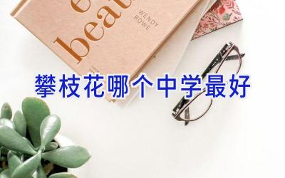 攀枝花哪个中学最好插图