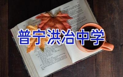 普宁洪冶中学插图