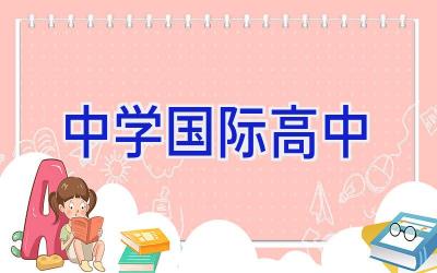 中学国际高中插图