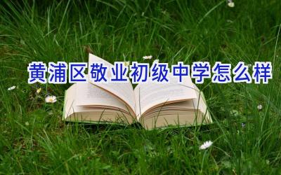 黄浦区敬业初级中学怎么样插图