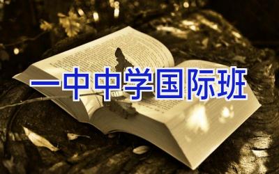 一中中学国际班插图