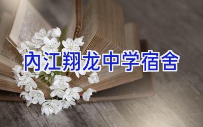 内江翔龙中学宿舍插图