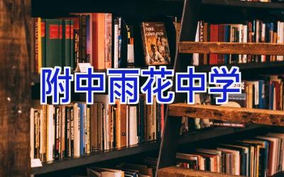 附中雨花中学插图