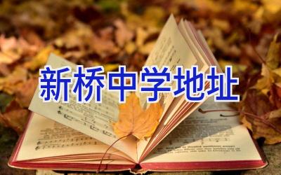 新桥中学地址插图
