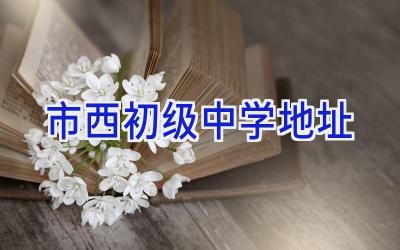 市西初级中学地址插图