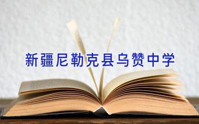 新疆尼勒克县乌赞中学插图