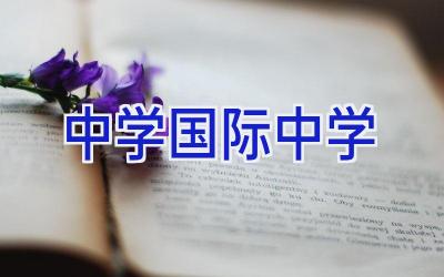 中学国际中学插图