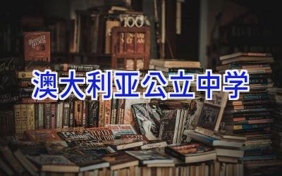 澳大利亚公立中学插图