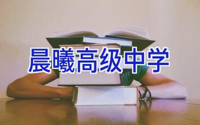 晨曦高级中学插图
