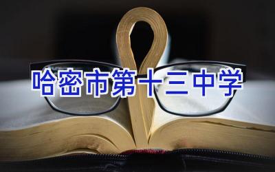 哈密市第十三中学插图