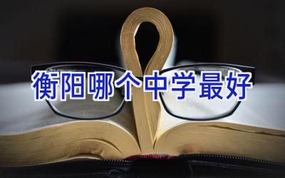 衡阳哪个中学最好插图