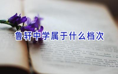 鲁轩中学属于什么档次插图