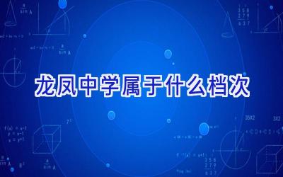 龙凤中学属于什么档次插图