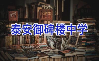 泰安御碑楼中学插图
