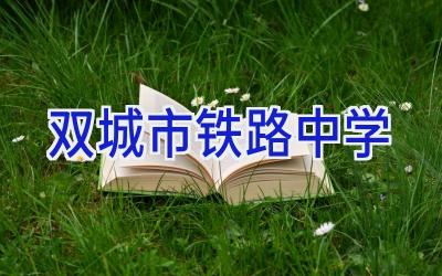 双城市铁路中学插图