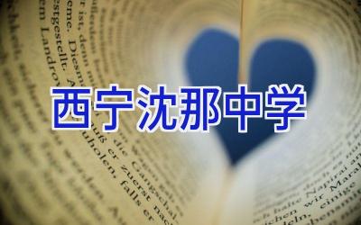 西宁沈那中学插图