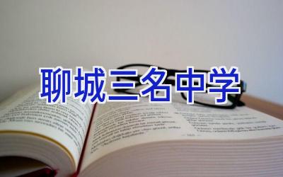 聊城三名中学插图