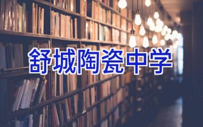 舒城陶瓷中学插图