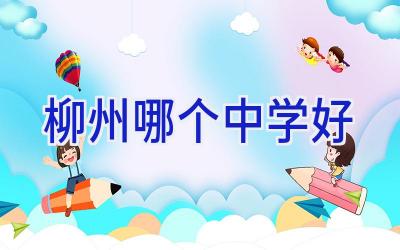 柳州哪个中学好插图